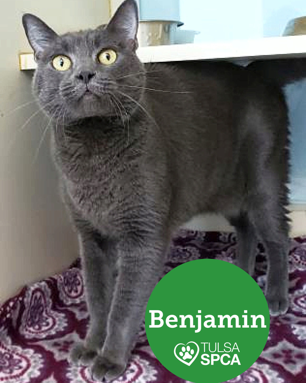 Benjamin